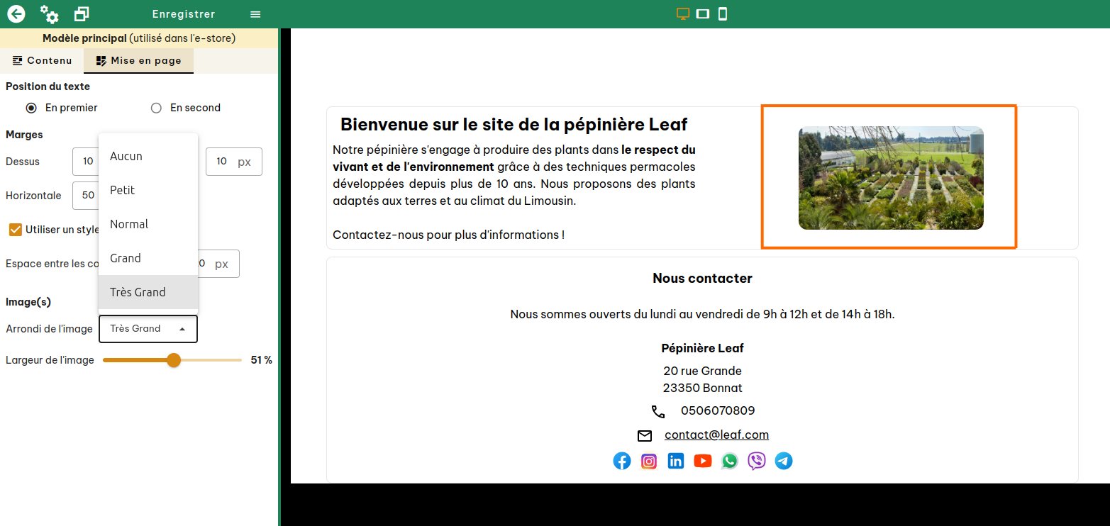 Mise en page des images