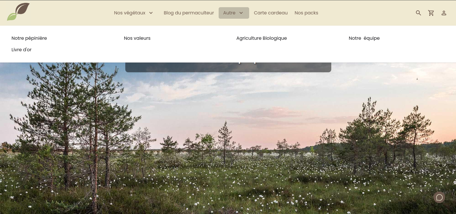 Page supplémentaire