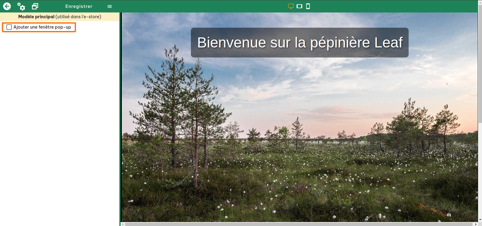 Configuration de la fenêtre Pop-up